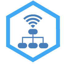 Networking Services Icon